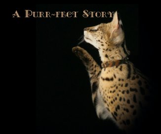 A Purr-fect Story book cover