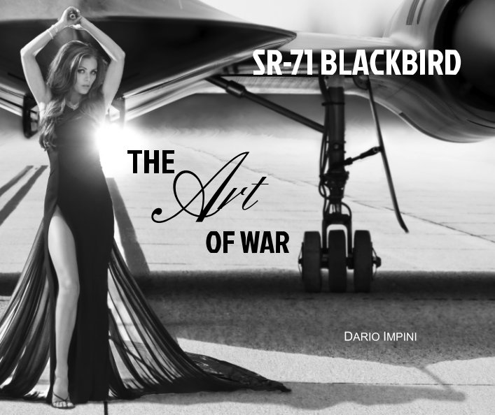 View SR-71 Blackbird by Dario Impini