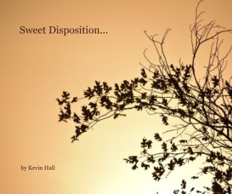 Sweet Disposition... book cover