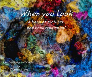 When you Look book cover