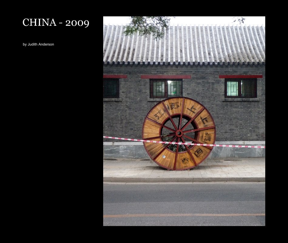 View CHINA - 2009 by Judith Anderson