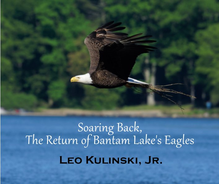 View Soaring Back, The Return of Bantam Lakes's Eagles by Leo Kulinski Jr.