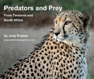Predators and Prey book cover