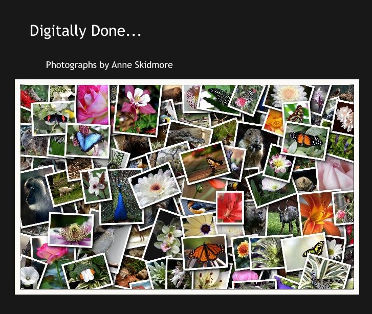 Ver Digitally Done... por Photographs by Anne Skidmore
