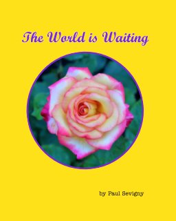 The World is Waiting book cover