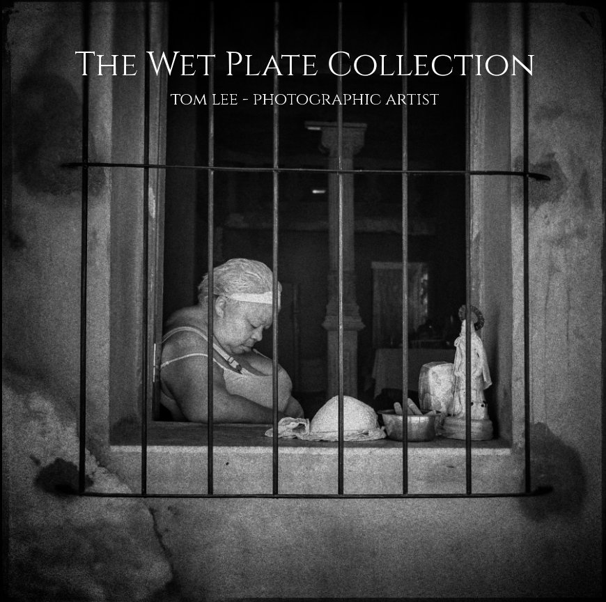 View The Wet Plate Collection by Tom Lee