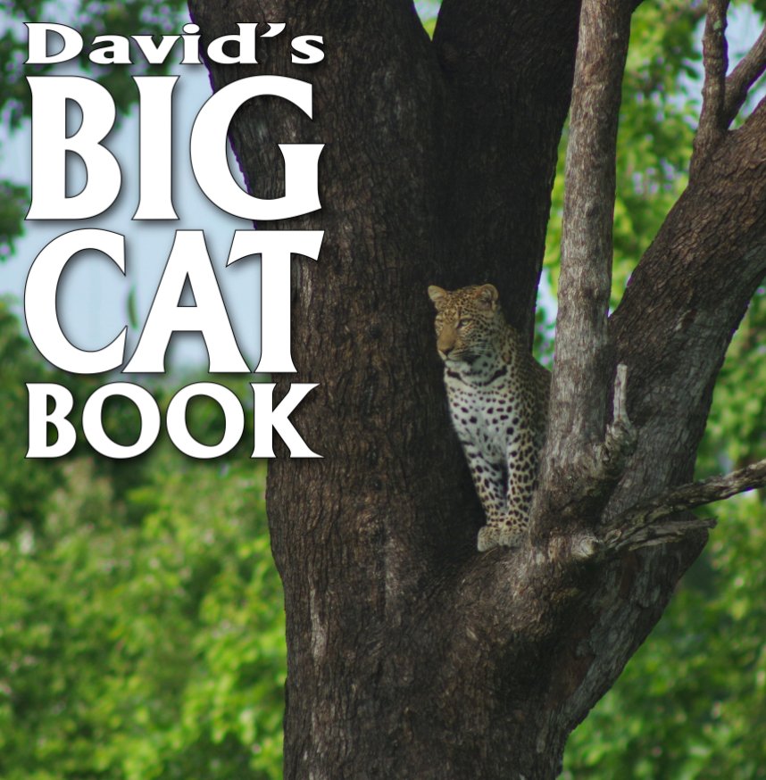 View David's Big Cat Book by David Kinrade