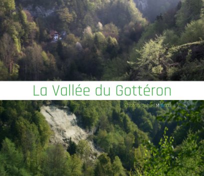 La vallée du Gottéron book cover