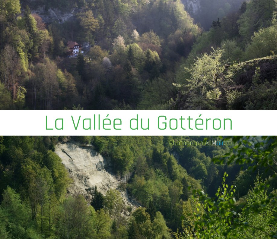 View La vallée du Gottéron by Maurice Robadey