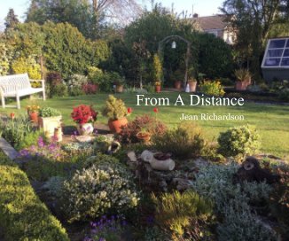 From A Distance book cover