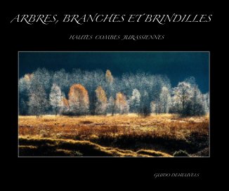 Arbres, branches et brindilles book cover