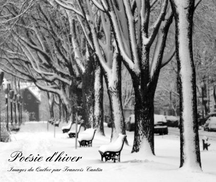 Québec en hiver : Poésie d'hiver book cover