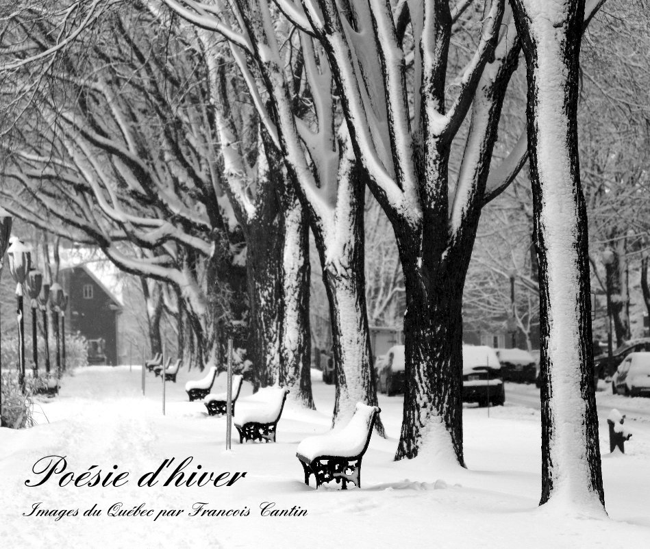 View Québec en hiver : Poésie d'hiver by Francois Cantin