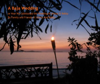 A Baja Wedding book cover