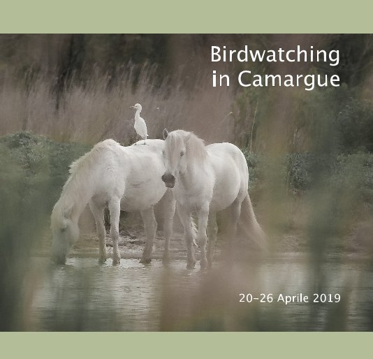 Birdwatching in Camargue nach Daniela Polla anzeigen