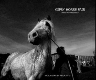 Gipsy Horse Fair book cover