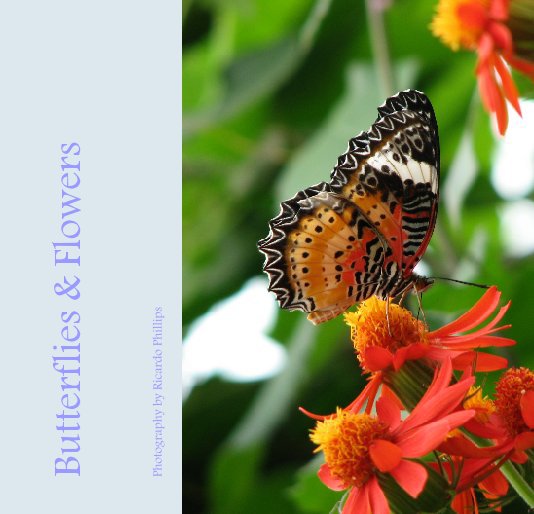 View Butterflies & Flowers by Photography by Ricardo Phillips