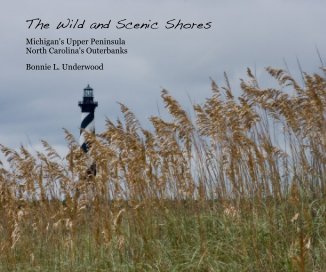 The Wild and Scenic Shores book cover