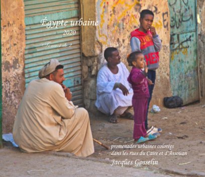 Égypte urbaine 2020 book cover