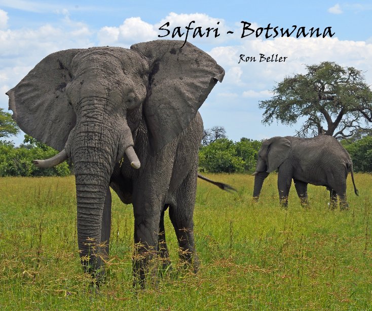 Visualizza Safari - Botswana di Ron Beller
