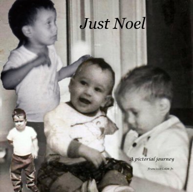 Just Noel book cover