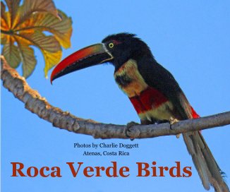 Roca Verde Birds book cover