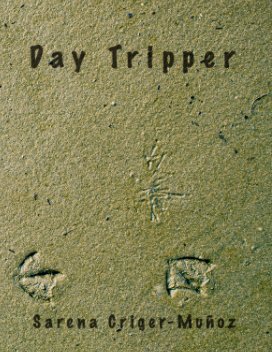Day Tripper book cover