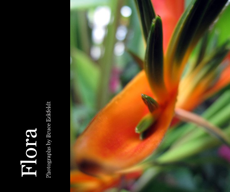 View Flora by Bruce Eckfeldt