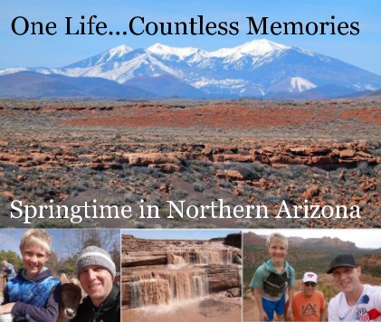 Springtime in Northern Arizona book cover