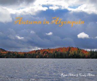 Autumn in Algonquin book cover