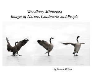 Woodbury Minnesota book cover