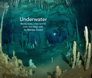 Underwater World book cover