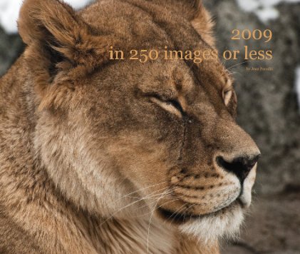 2009 in 250 images or less book cover