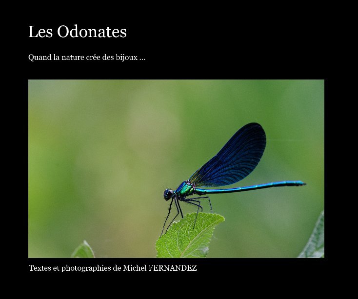 Ver Les Odonates por Michel FERNANDEZ