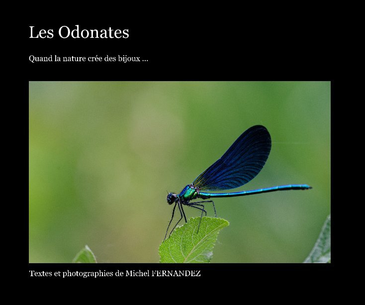 View Les Odonates by Michel FERNANDEZ