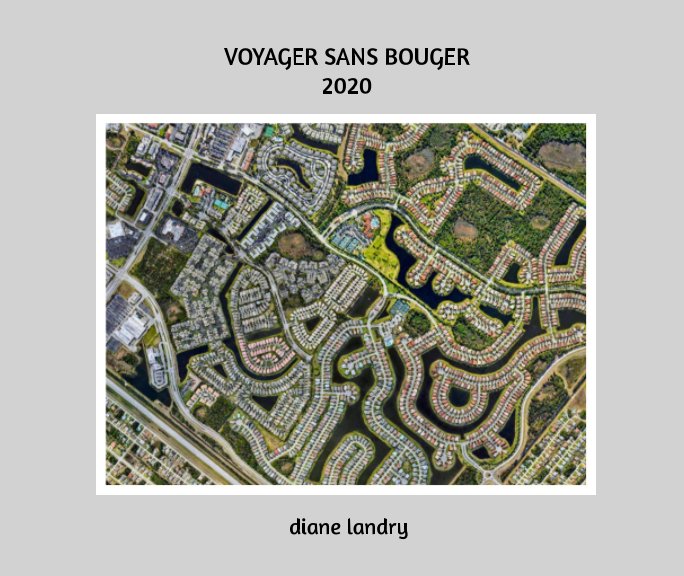 View Voyager sans bouger 2020: LIVRE 1 by Diane Landry