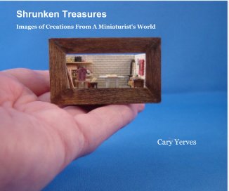 Shrunken Treasures book cover