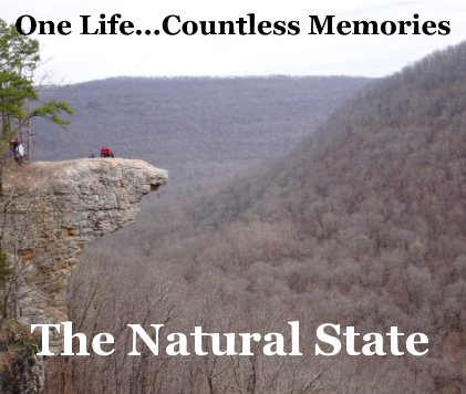 The Natural State book cover