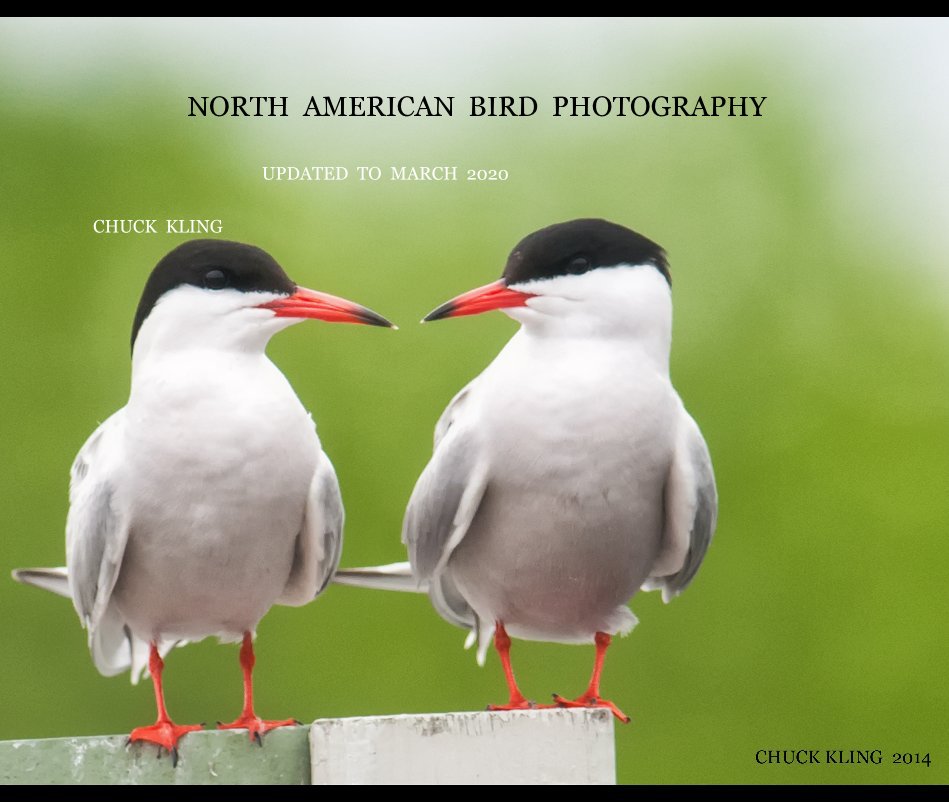 View North American Bird Photography Updated To March2020 by CHUCK KLING