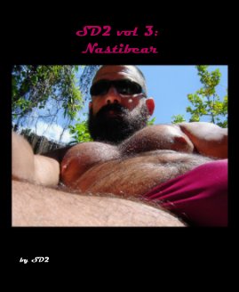 SD2 vol 3: Nastibear book cover