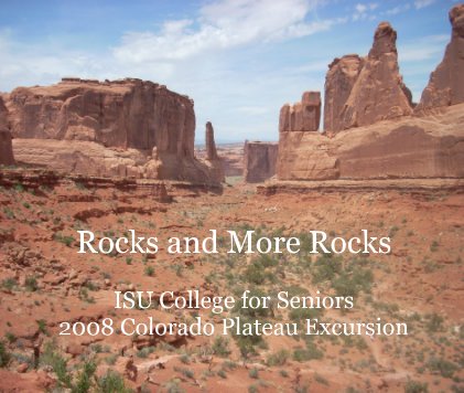 Rocks and More Rocks book cover