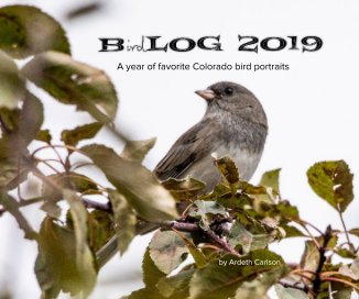 BirdLog2019 book cover