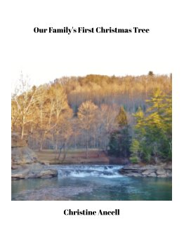 Our Family's First Christmas Tree book cover