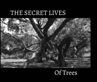THE SECRET LIVES of Trees book cover