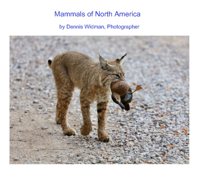 View Mammals of North America by Dennis Widman