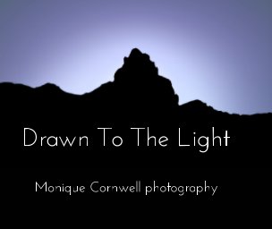 Drawn To The Light book cover