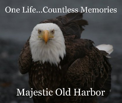 Majestic Old Harbor book cover