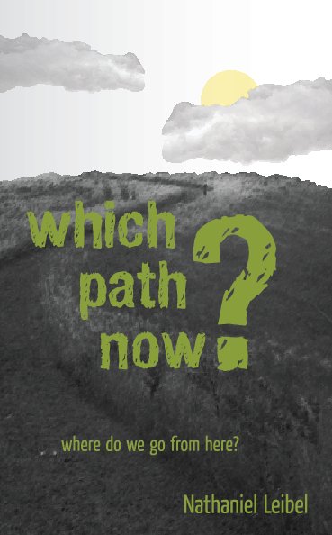View Which Path Now? by Nathaniel Leibel