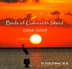 Birds of Galveston Island 2008-2009 book cover