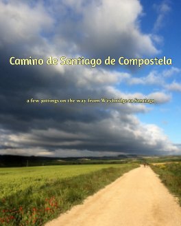Camino 2016 - a few jottings on the way from Weybridge to Santiago. book cover